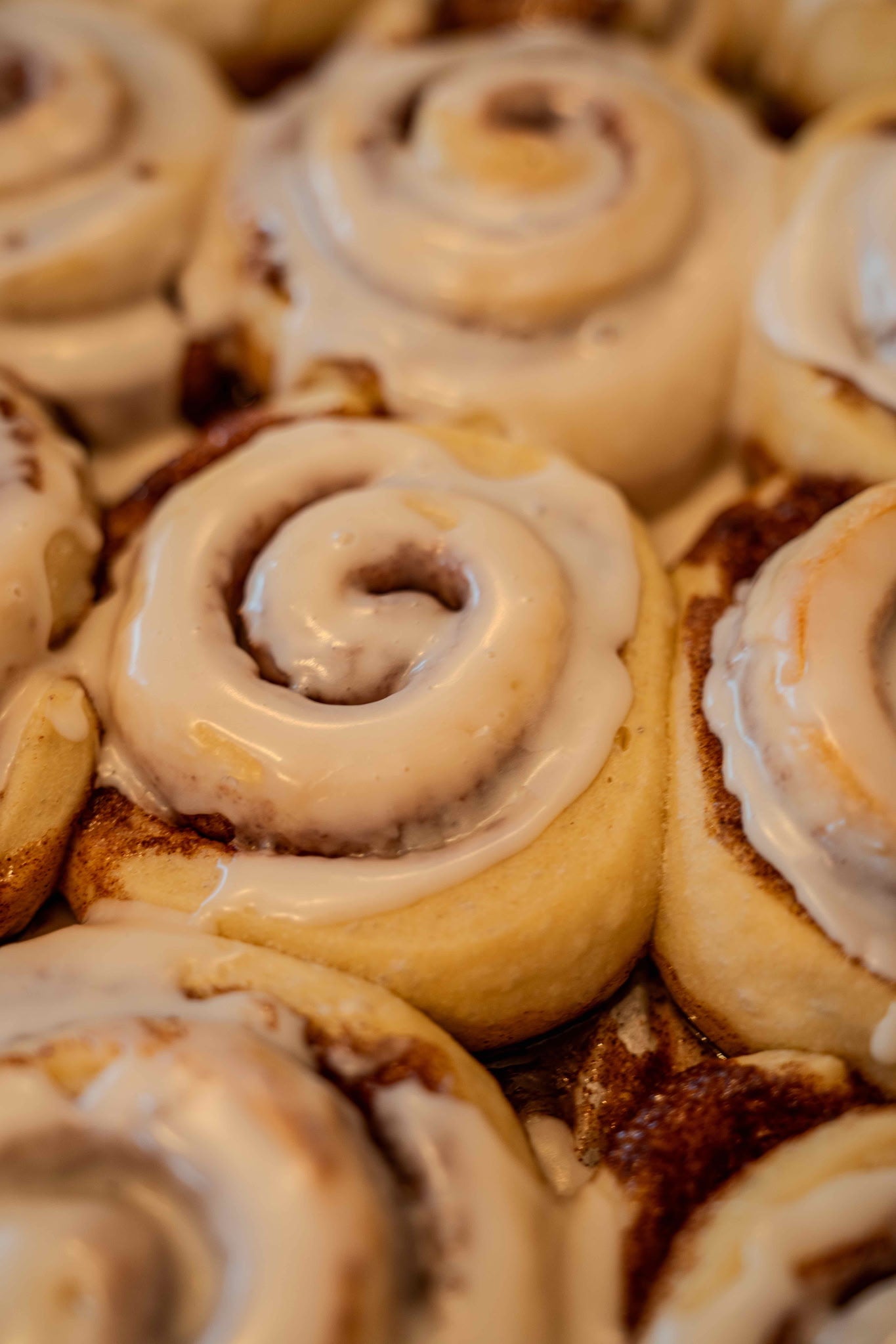 Sourdough Cinnamon Rolls