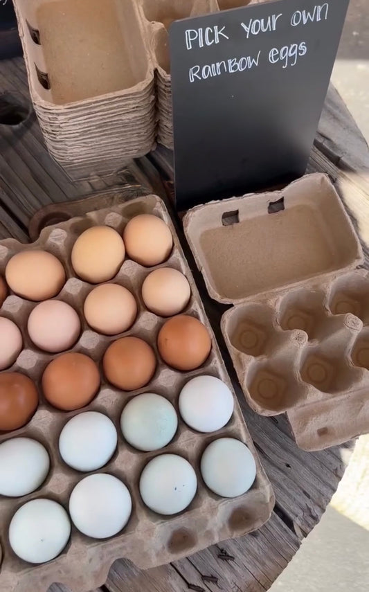 Farm Fresh Eggs (dozen)