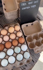 Farm Fresh Eggs (dozen)