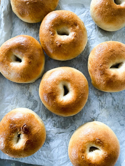 Plain Sourdough Bagels (8 pack)